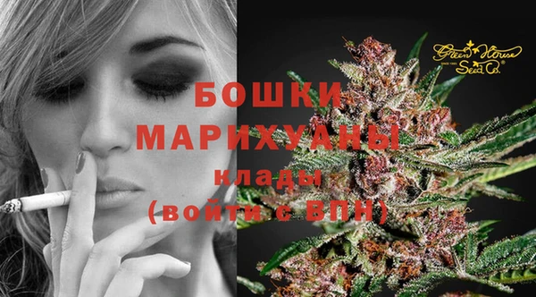 ECSTASY Богородск