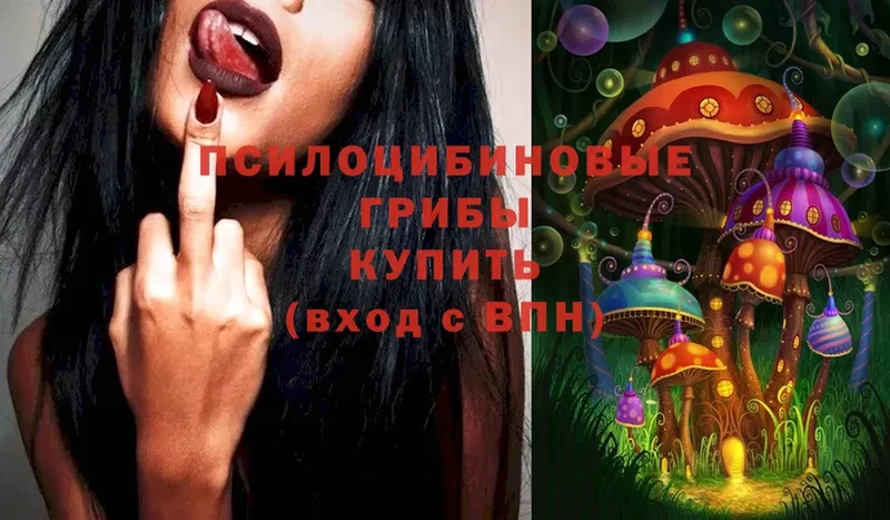 Галлюциногенные грибы Magic Shrooms Курск