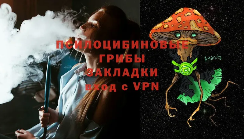 где купить   darknet формула  Псилоцибиновые грибы GOLDEN TEACHER  Курск 